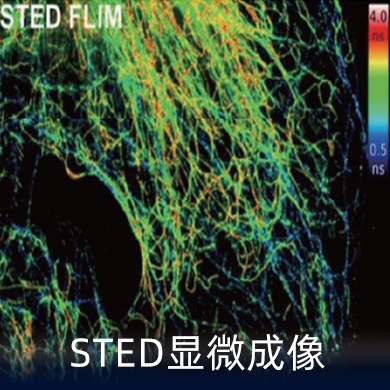 【全新轻量化】星秒ST08——高效时间测量(TCSPC)的轻量化利器!(图10)